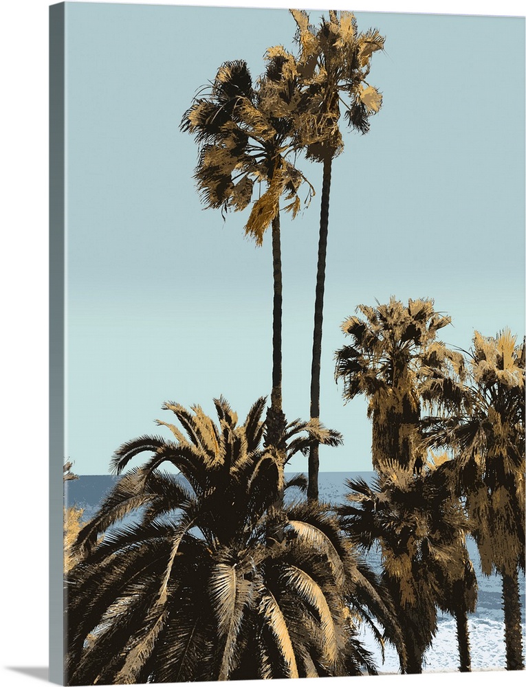 Palms And Beach I