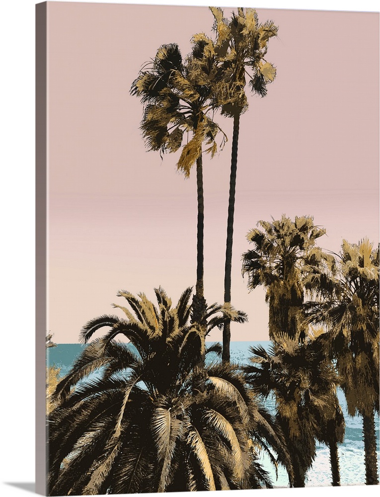 Palms And Beach III