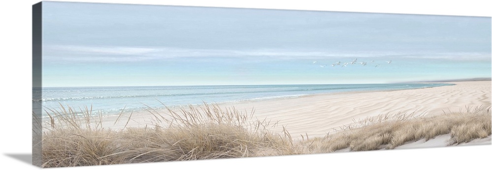Sand Beach And Birds