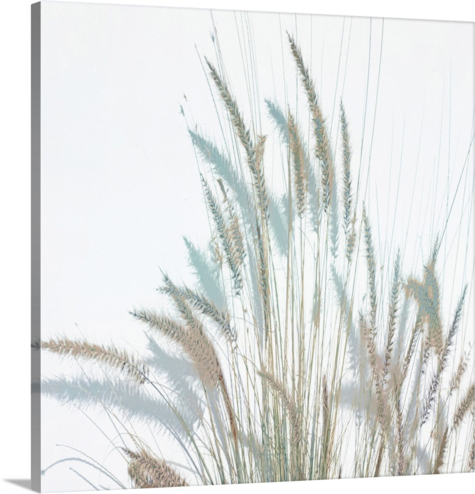 Tall Grass 3