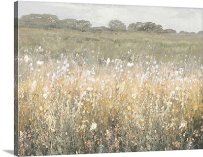 Wild Flower Field