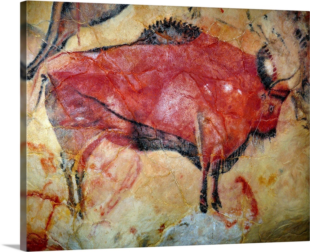 Cave Painting Of Bison At Altamira Wall Art, Canvas Prints, Framed