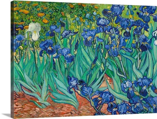 Irises By Vincent Van Gogh Photo Canvas Print | Great Big Canvas