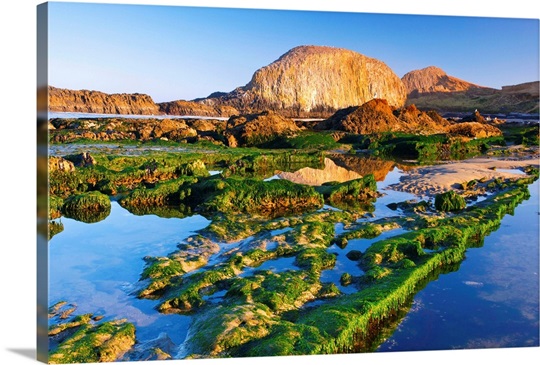 Singles in seal rock oregon go out for a trip., beauty scenery, Pinterest, Scenery, Nature and Beauty