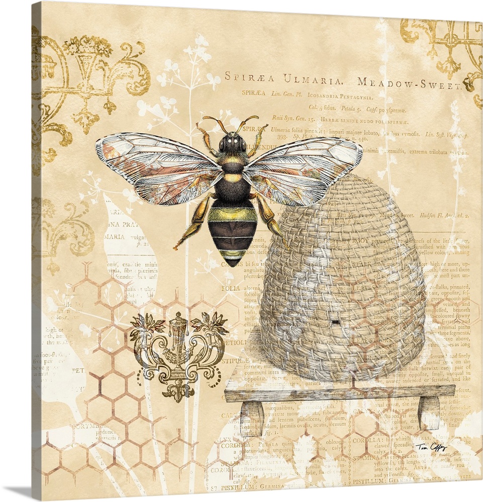 A classic and elegant botanical of a bee skep and bee in a soft neutral palette.
