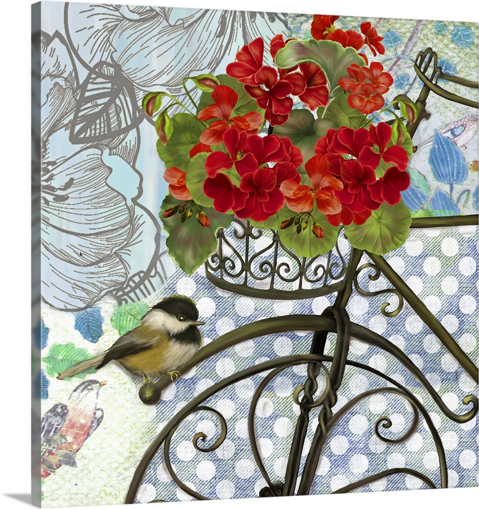 Lovely, intriguing and eye-catching image of a bicycle with Geraniums.