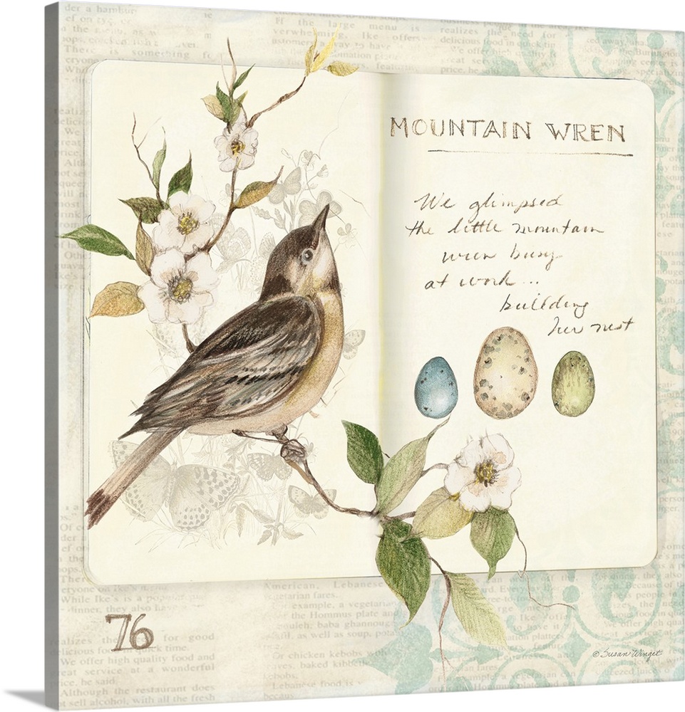 Botanical study of birdlife adds elegant, nature-inspired touch to any room.