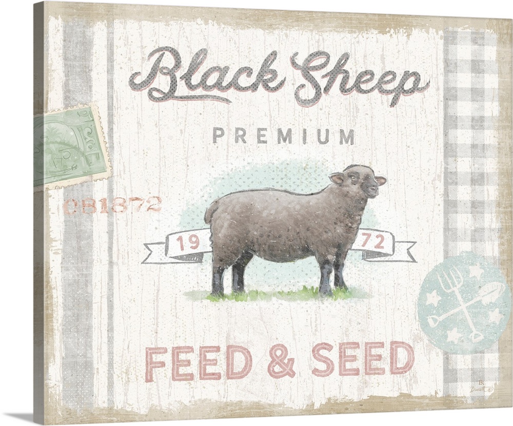 Black sheep can be good and this sheep is just charming as a country accent.