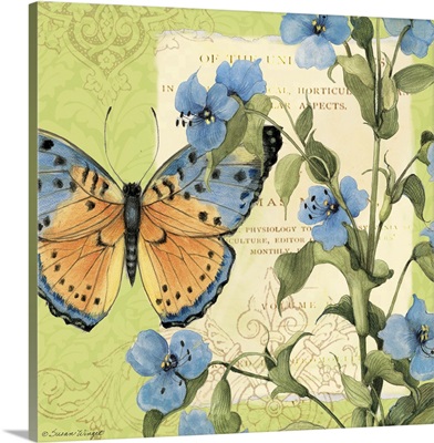 Blue Butterfly Botanical