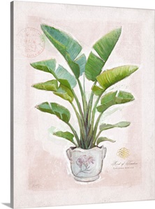 Bohemian Gardener image thumbnail