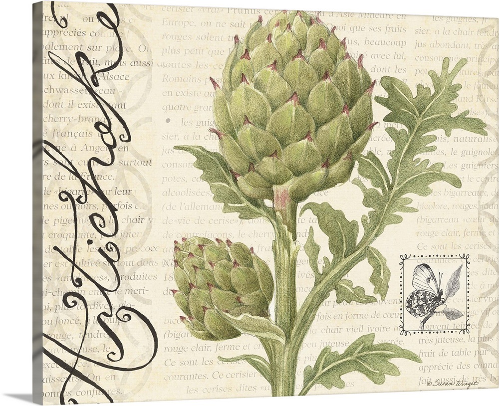 Botanical Artichoke Wall Art, Canvas Prints, Framed Prints, Wall Peels