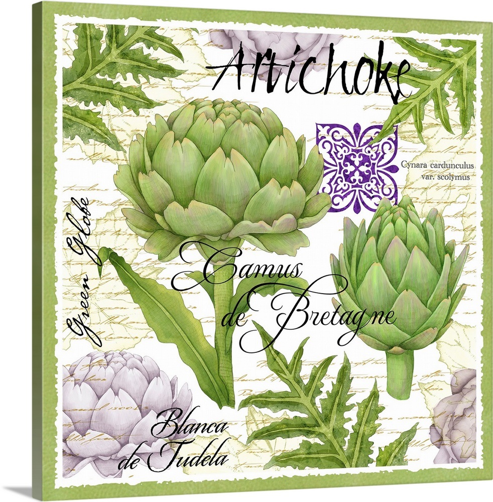 Botanical Artichoke Wall Art, Canvas Prints, Framed Prints, Wall Peels