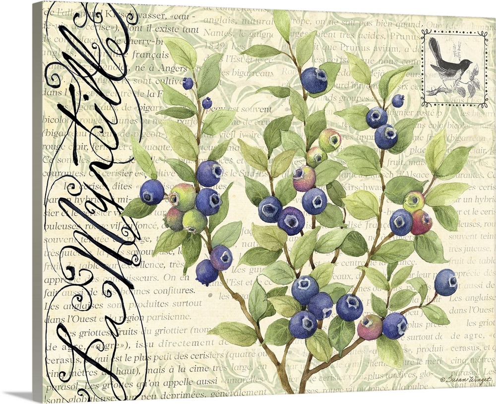 Botanical Blueberries Wall Art, Canvas Prints, Framed Prints, Peels | Great