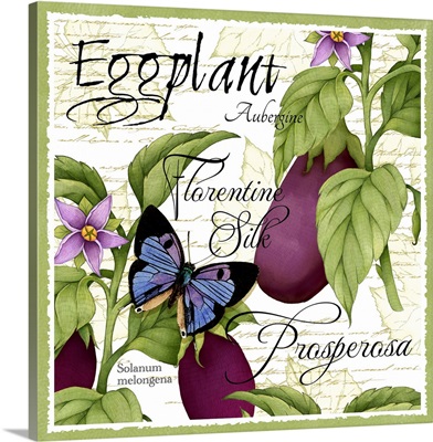 Botanical Eggplant