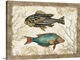 image thumbnail of Botanical fish art perfect for den, study, home decor