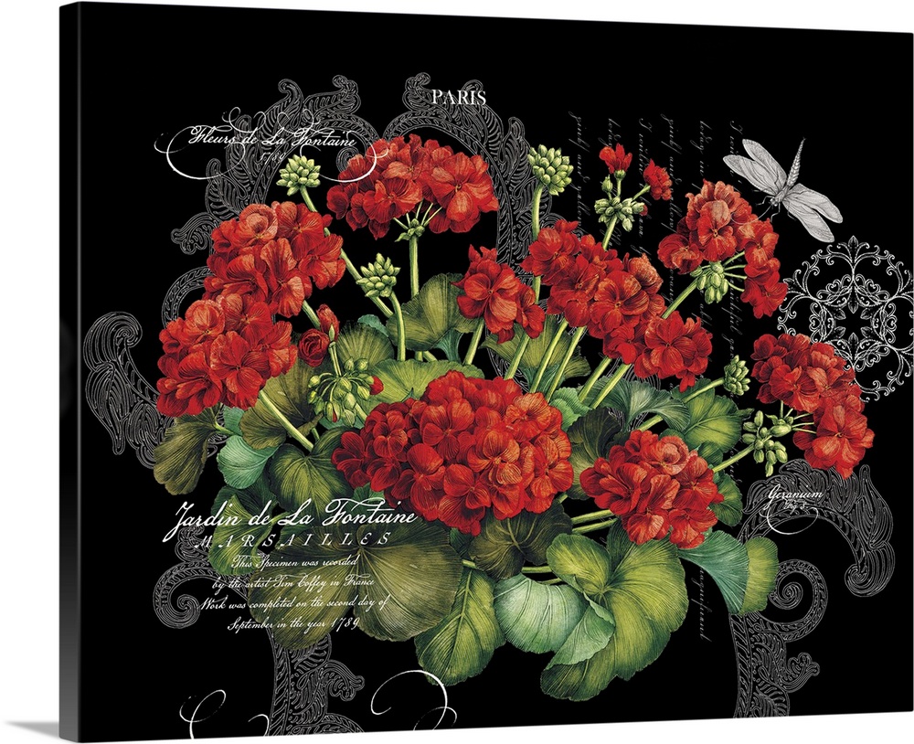Botanical Geraniums bring a vibrant red accent to decor