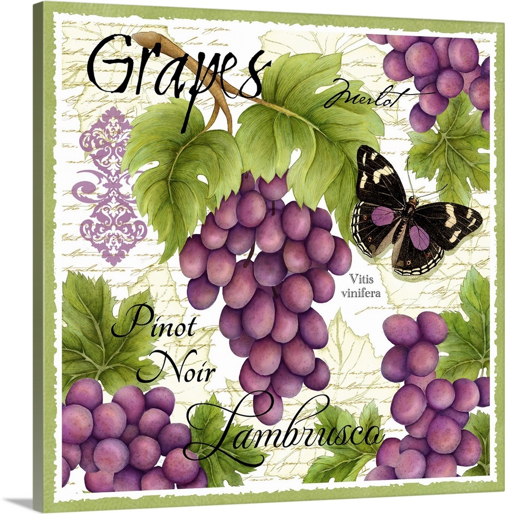 Botanical Grape Wall Art, Canvas Prints, Framed Prints, Wall Peels