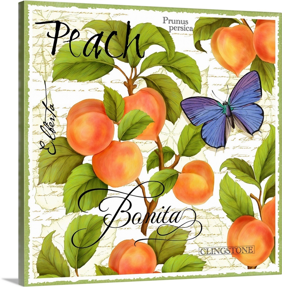 Botanical Peach Wall Art, Canvas Prints, Framed Prints, Wall Peels Great Big Canvas