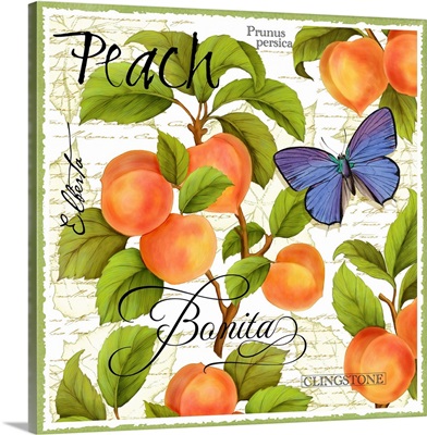 Botanical Peach
