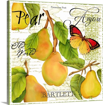 Botanical Pear