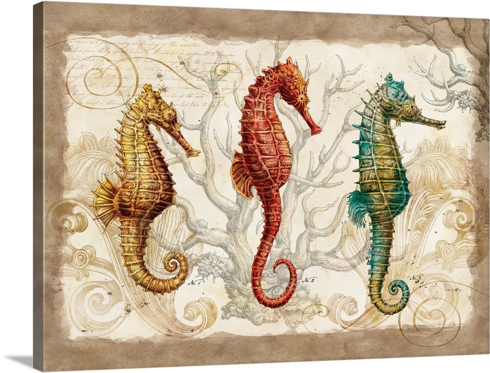 Large artwork of three different types of seahorses with coral drawn behind them and a soft brown border around the print.