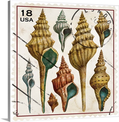 Botanical Seashells Stamp