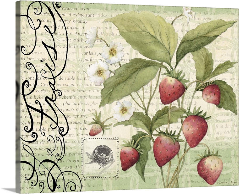 Botanical Strawberries Wall Art, Canvas Prints, Framed Prints, Wall ...