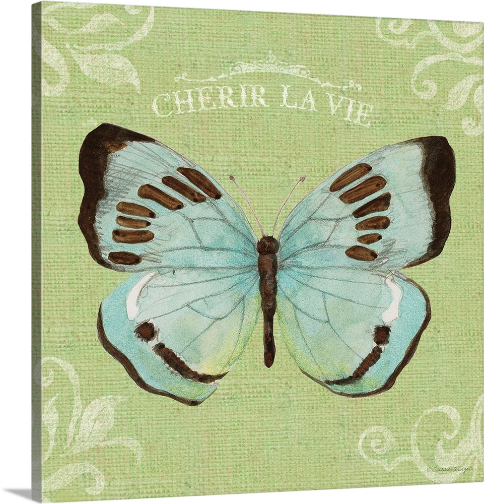 Simple and bold Butterfly imagery makes an iconic design statement