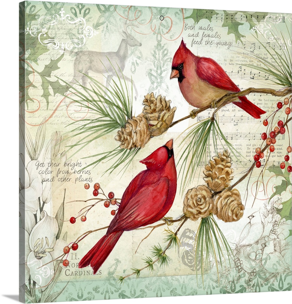 Cardinals Wall Art, Canvas Prints, Framed Prints, Wall Peels | Great ...