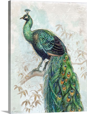 Classic Peacock