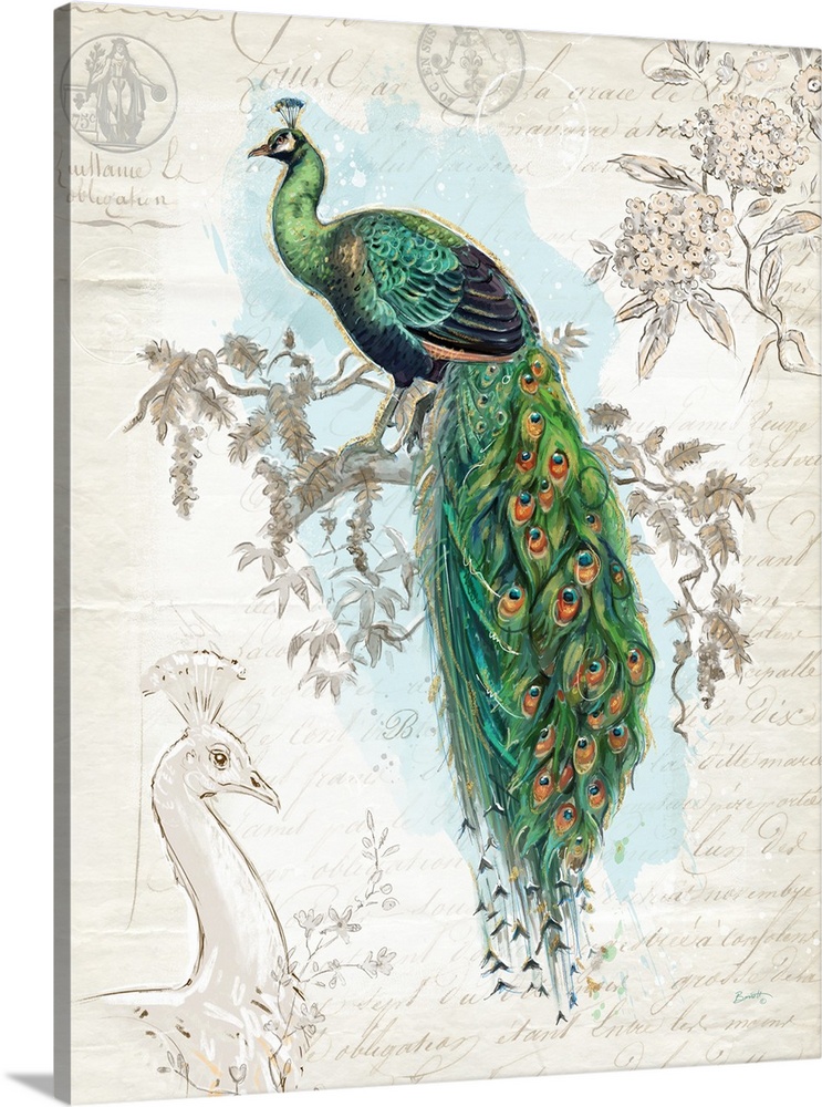 The elegant peacock shows its plumage in this stunning depiction.
