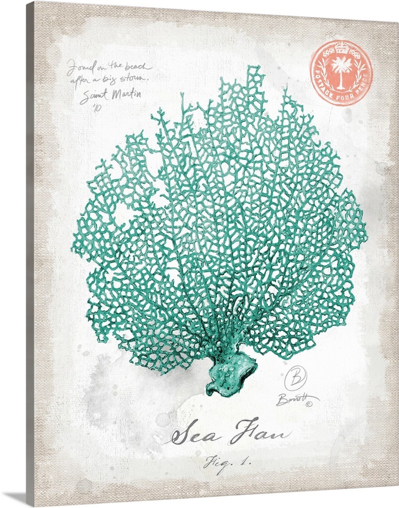 Coastal Discoveries - Sea Fan Coral Wall Art, Canvas Prints, Framed