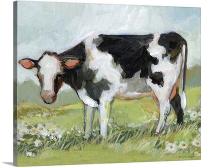 Cow In Field