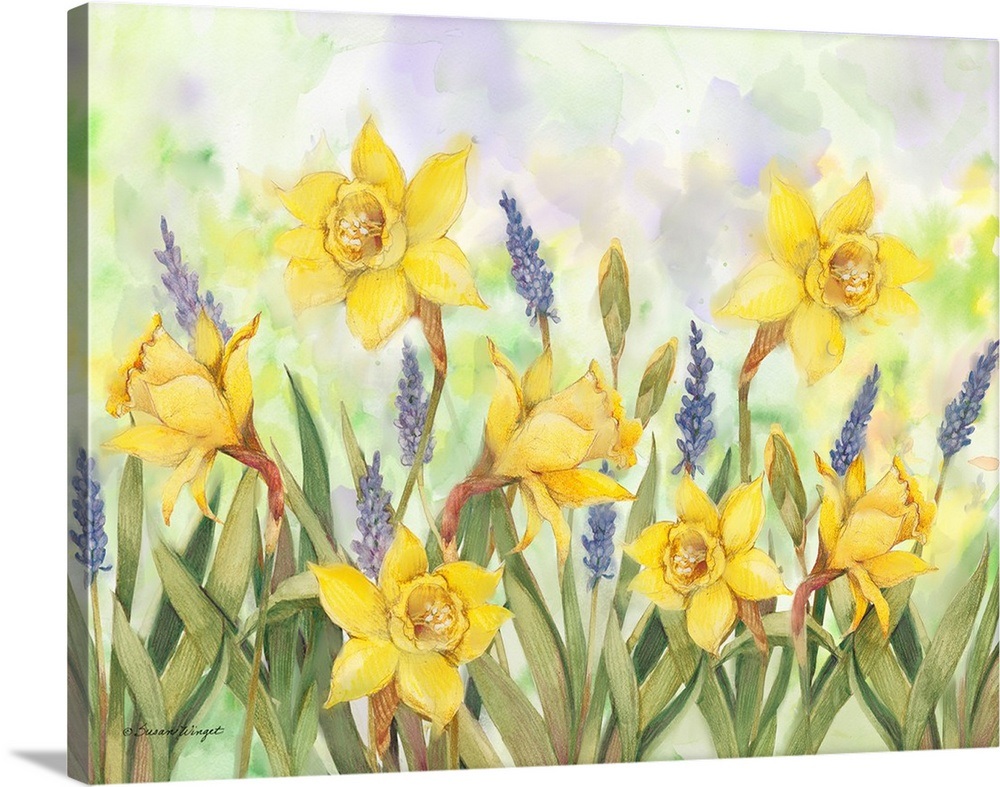 Daffodils Wall Art, Canvas Prints, Framed Prints, Wall Peels | Great