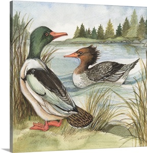 Ducks image thumbnail