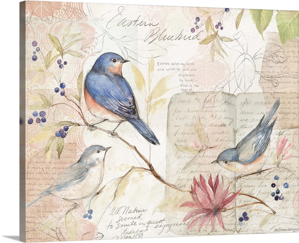 Lovely sketchbook bird art is a soft accent den, living room or bedroom.