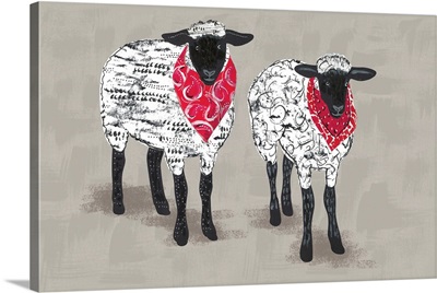 Farm Life - Sheep
