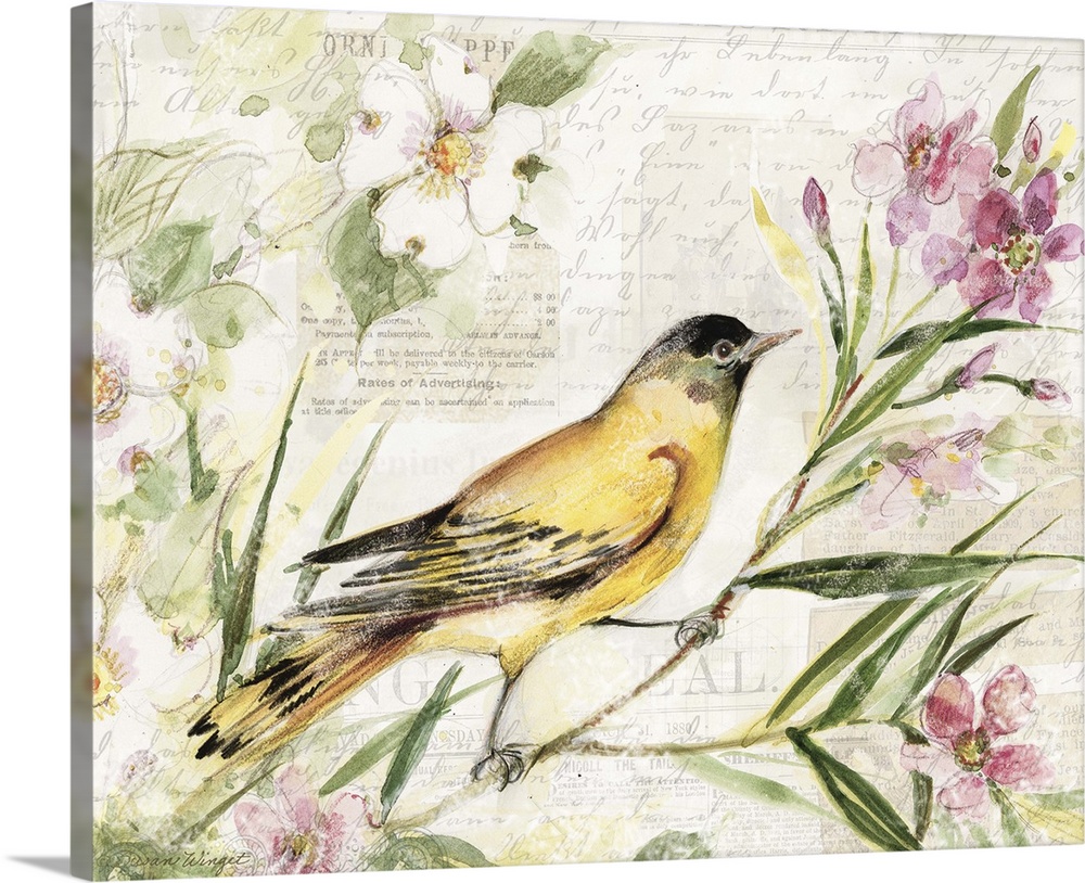 Loose, sketchbook art treatment of the beautiful finch is lovely for any decor