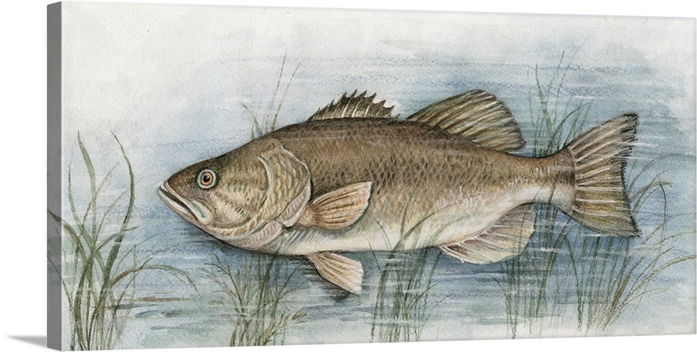 Fish painting is a great accent for your cabin, lake house or den!