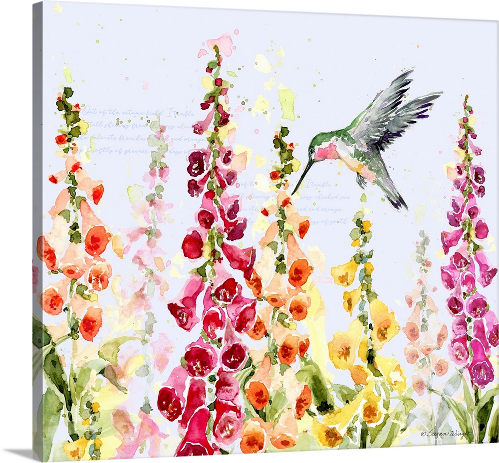 A cacophony of color is featured in this foxglove display!