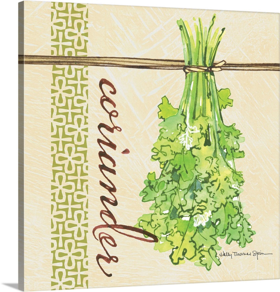 A lovely botanical treatment for the coriander leafa perfect kitchen decor accent.