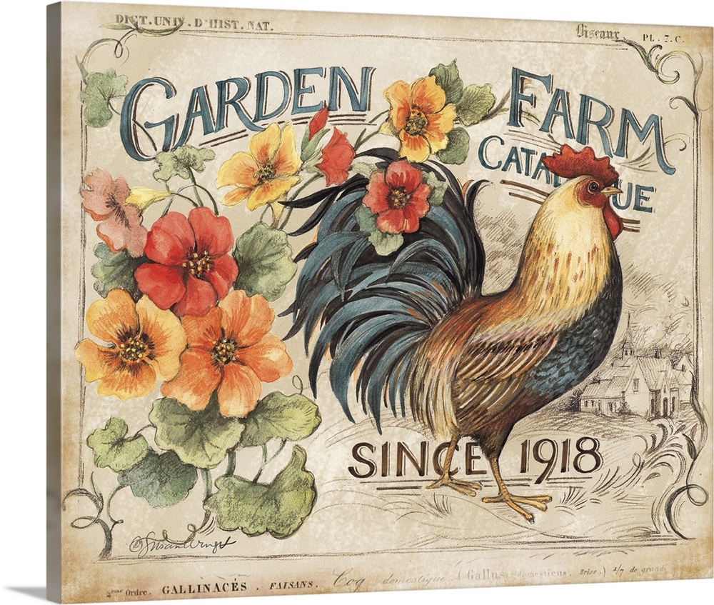 Vintage rooster treatment offers sophisticated country style.