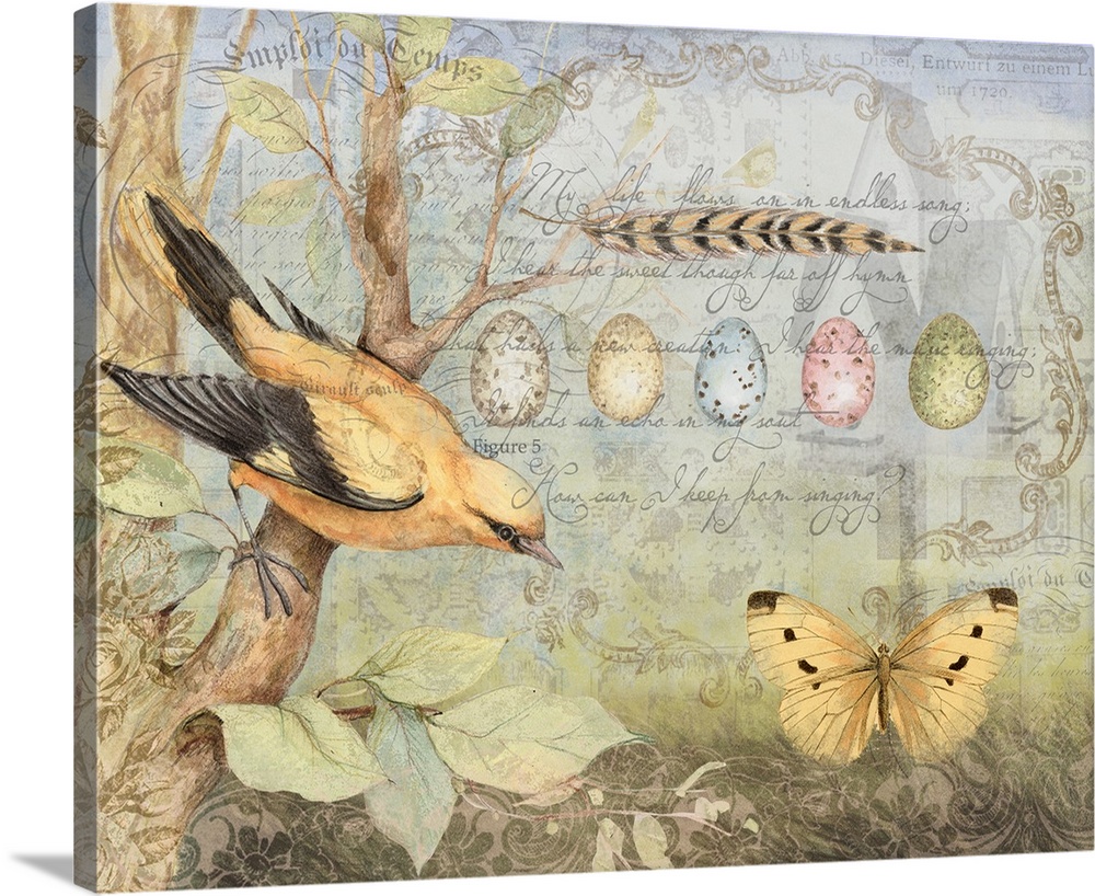 Elegant bird montage that is a beautiful nature accent for any decor.