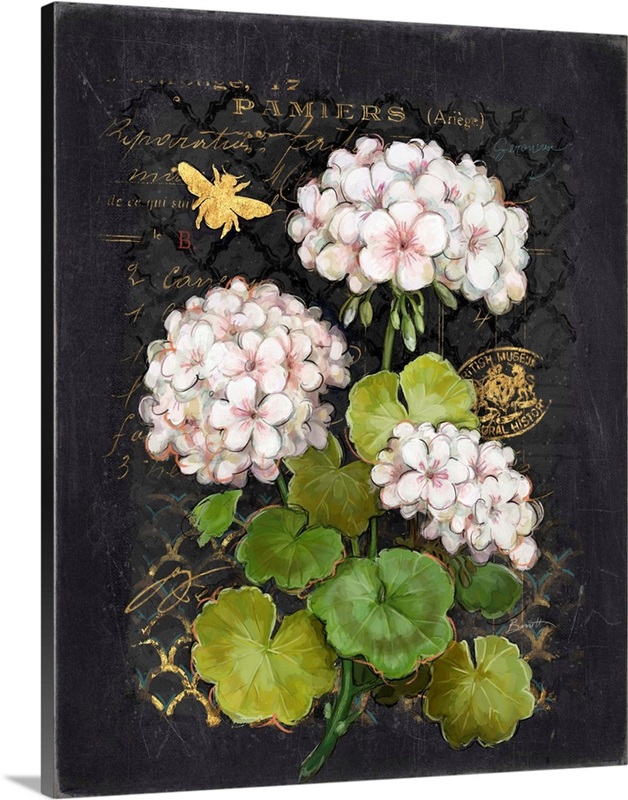 Heirloom Geraniums on Black | Great Big Canvas