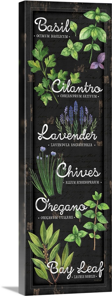 A digital illustration of a variety of herbs on a distressed black backdrop.
