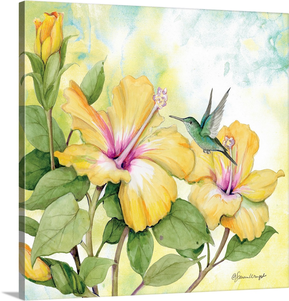 Capture the tropical spirit with the luscious hibiscus plant.