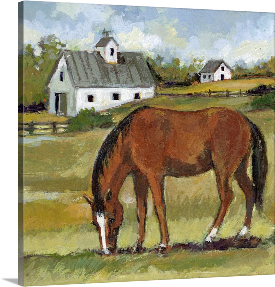 A richly depicted horse farm features this striking Bay thoroughbred