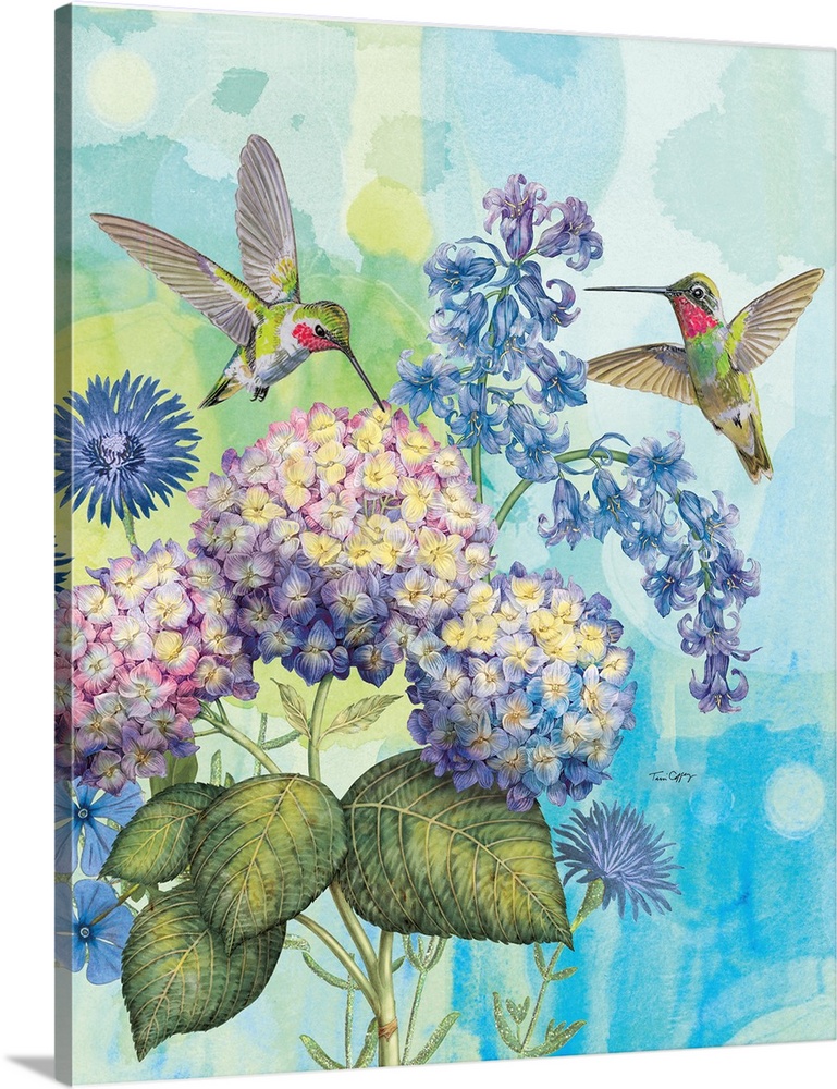 A lovely illustration featuring the popular hydrangea with the beloved hummingbird.
