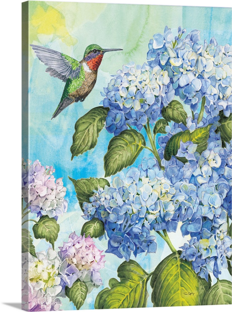 A lovely illustration featuring the popular hydrangea with the beloved hummingbird.
