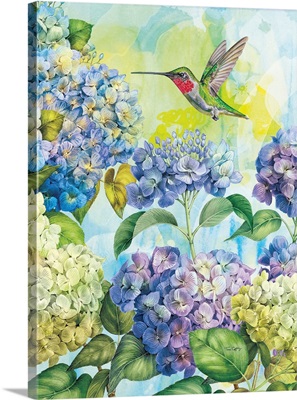 Humminbirds & Hydrangeas 3